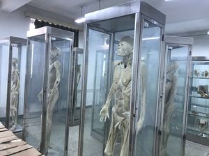 实验室搬家
